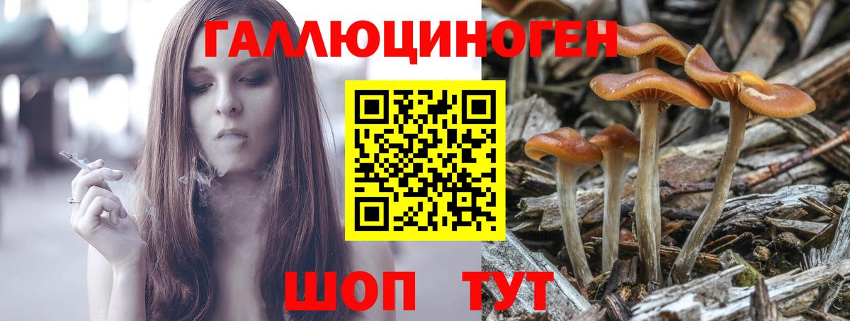 Галлюциногенные грибы Cubensis  Псилоцибиновые грибы мицелий  Вход с VPN  Советск 